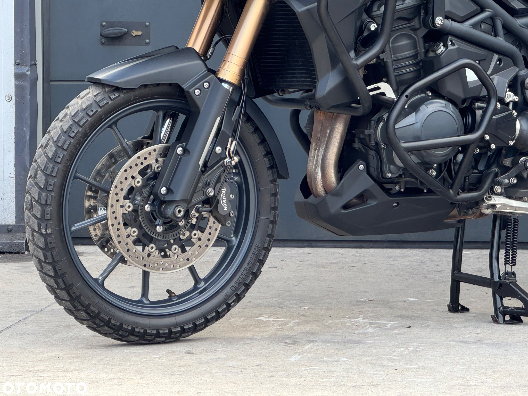 Triumph Tiger - 12
