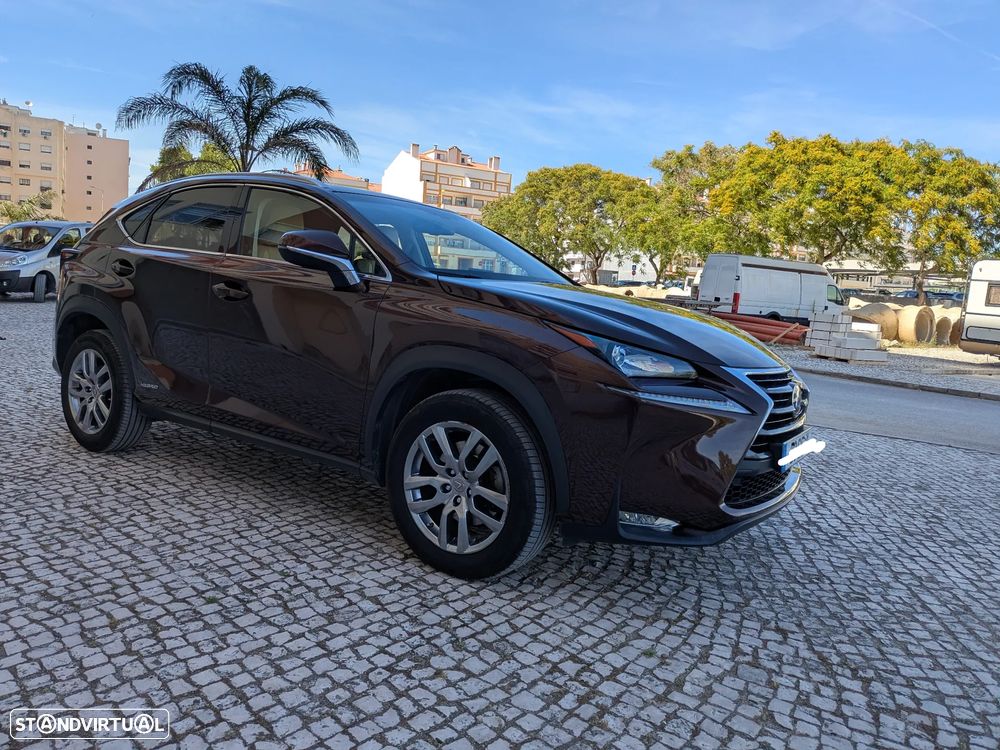 Lexus NX 300h Executive+ - 1