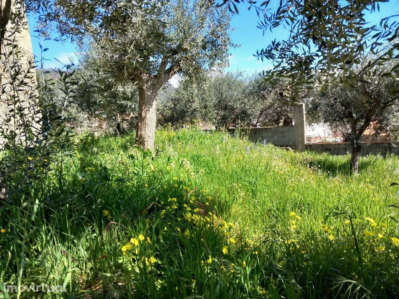 Terreno Rustico Alpedrinha - Grande imagem: 4/6