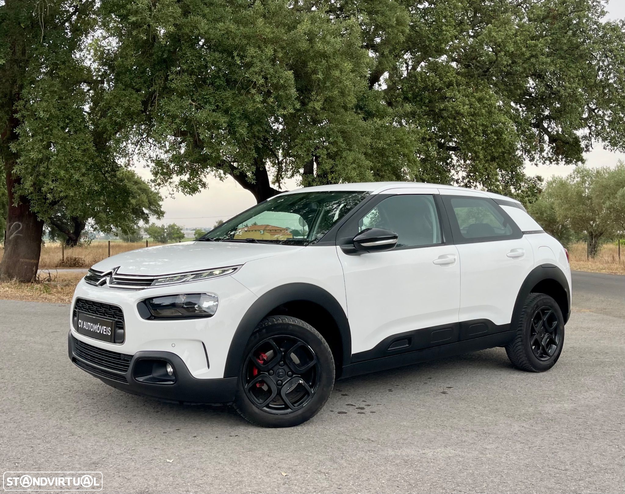 Citroën C4 Cactus 1.5 BlueHDi Feel - 1