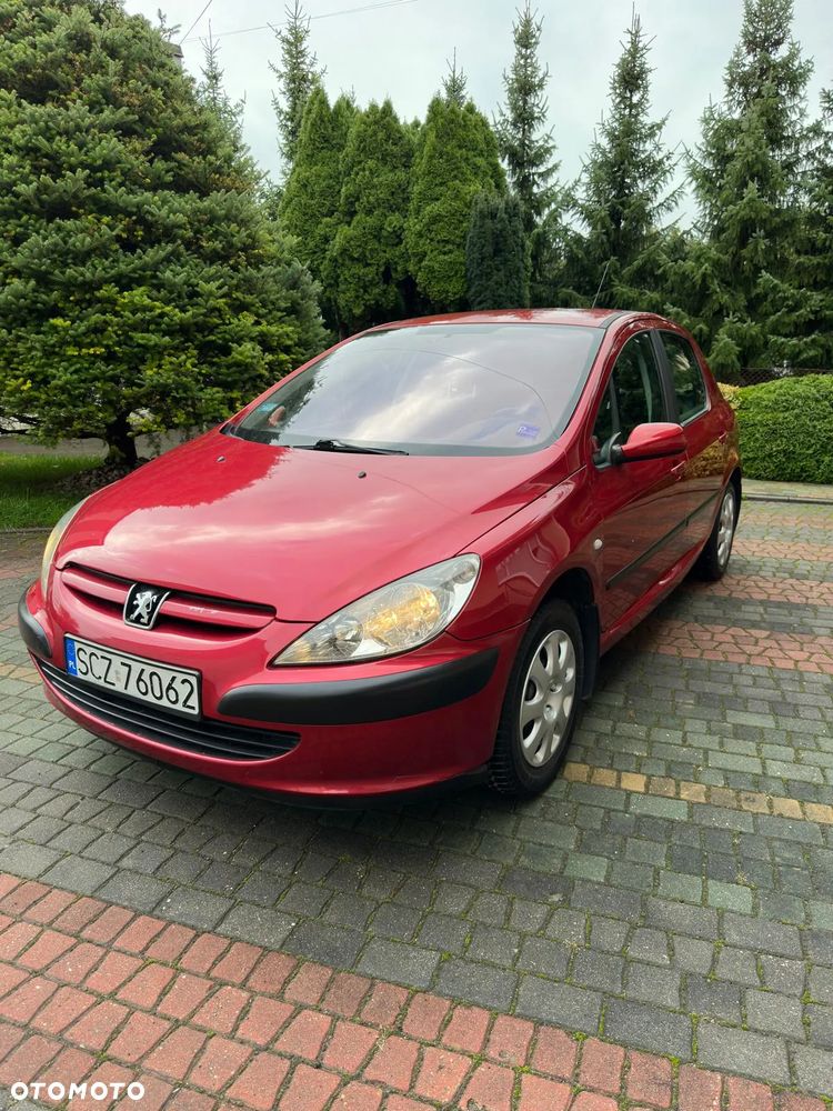 Peugeot 307 1.6 XS - 1
