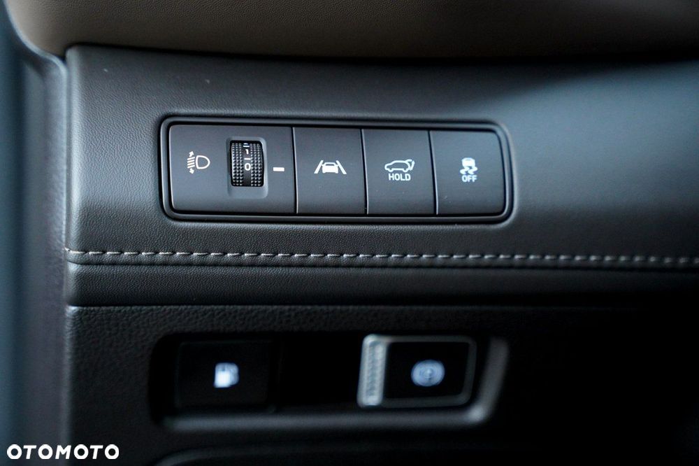 Hyundai Santa Fe - 19