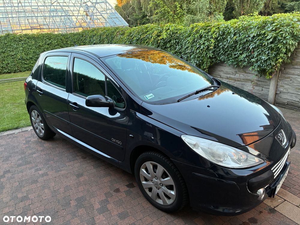 Peugeot 307 1.6 HDI Oxygo - 8