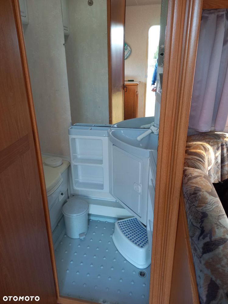 Wilk - 13