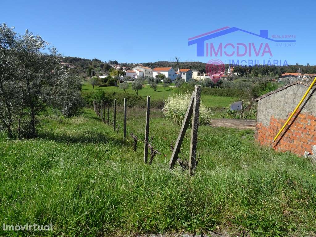 Terreno com projeto de construção aprovado, em Pedrógão Grande - Grande imagem: 3/25