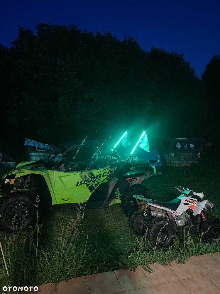 Arctic Cat Inny - 8
