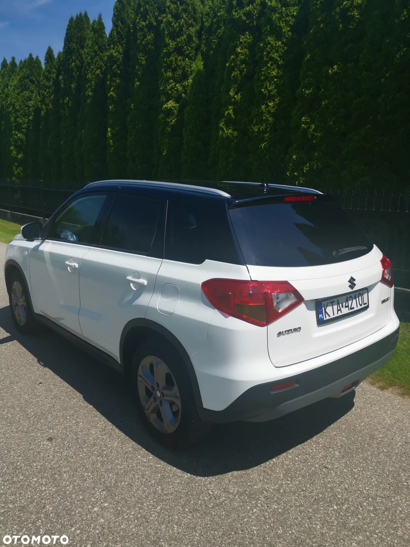 Suzuki Vitara - 9
