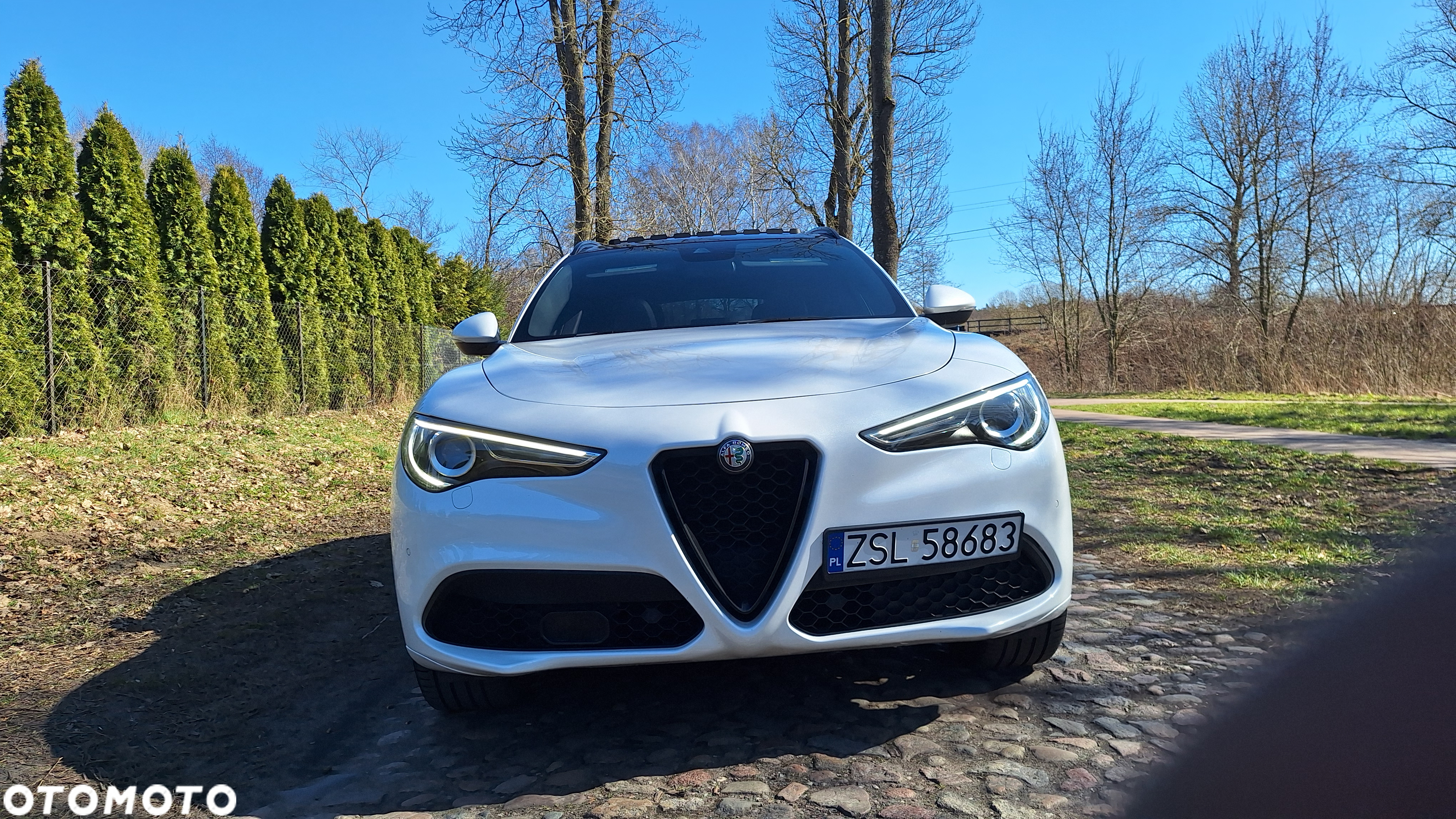 Alfa Romeo Stelvio 2.0 Turbo 16V AT8-Q4 Veloce Ti - 4