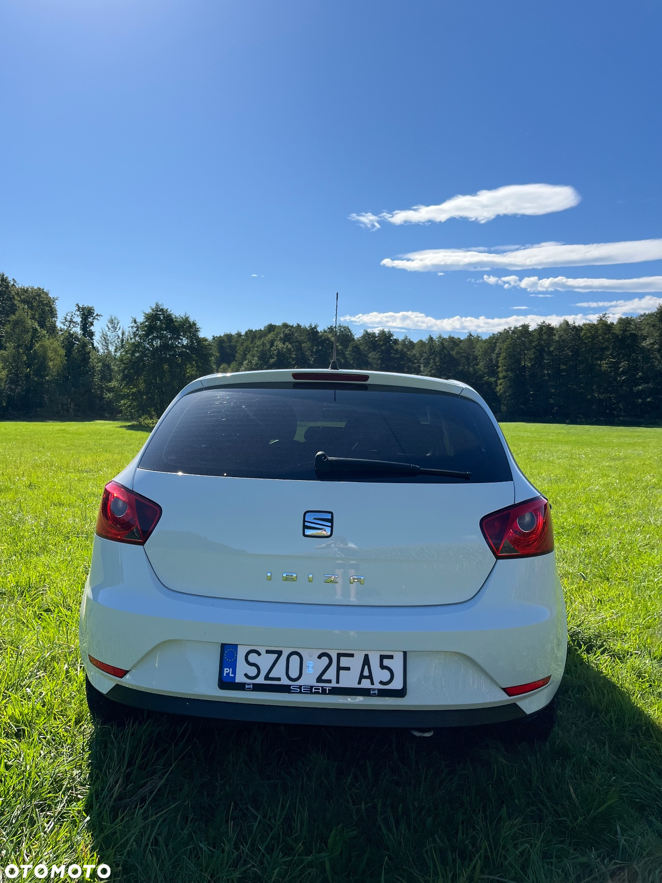 Seat Ibiza 1.0 Reference - 6
