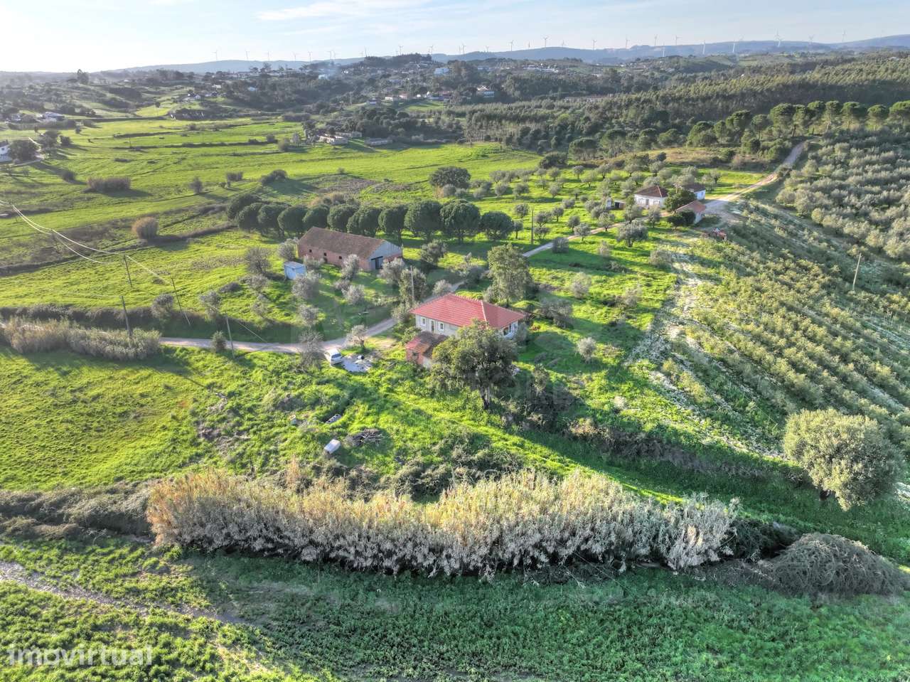 Moradia T2+1 c/ Anexo & Armazém em Lote de 7.600m2 - Grande imagem: 2/37
