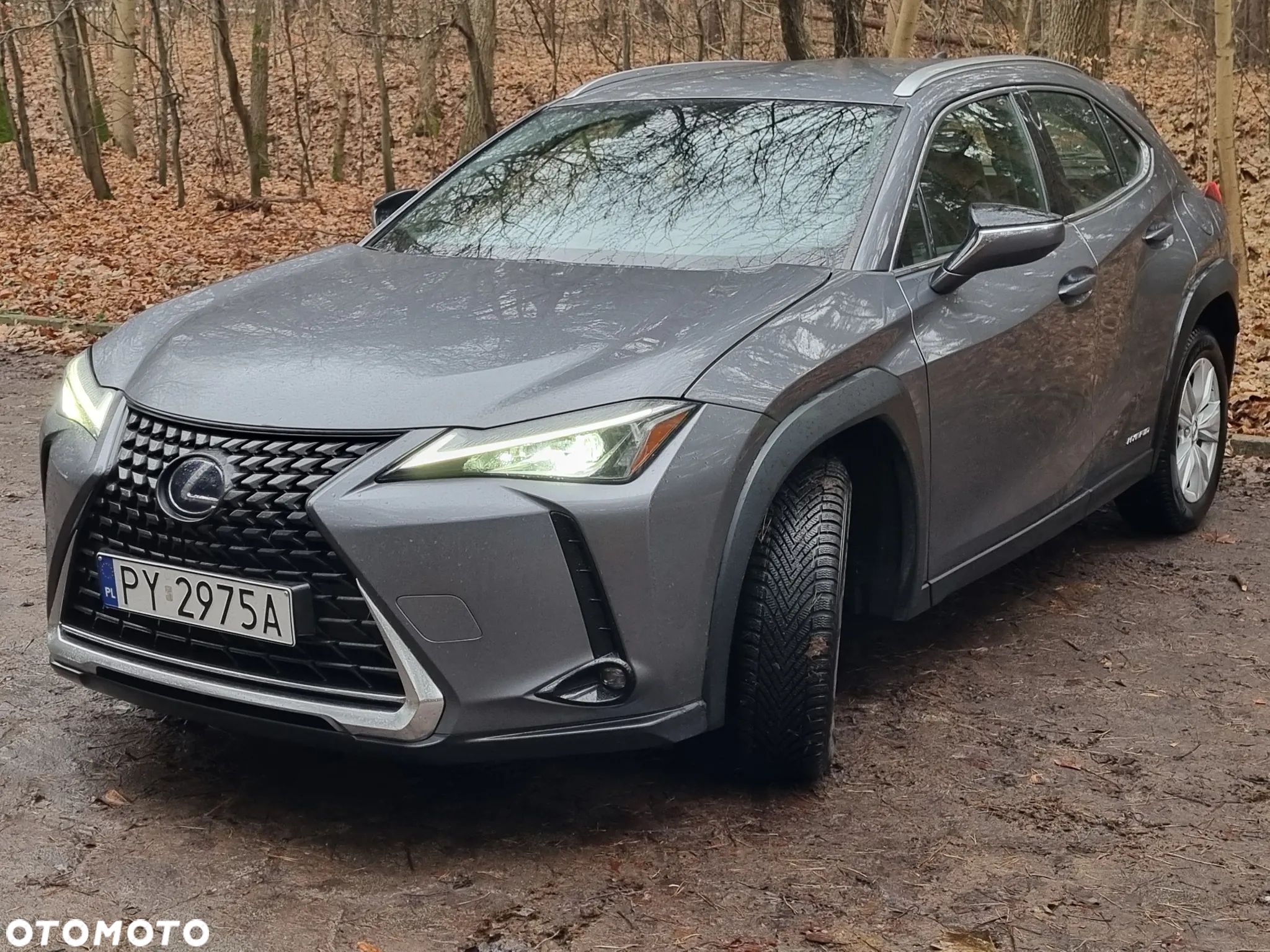 Lexus UX - 1