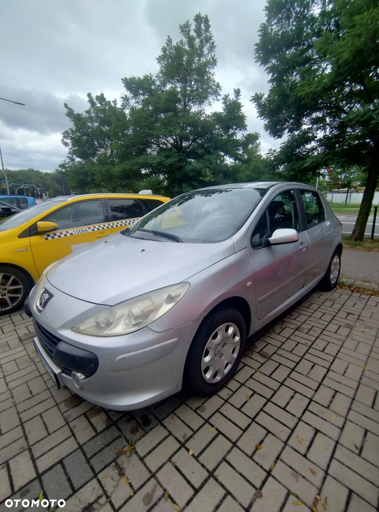 Peugeot 307 - 21