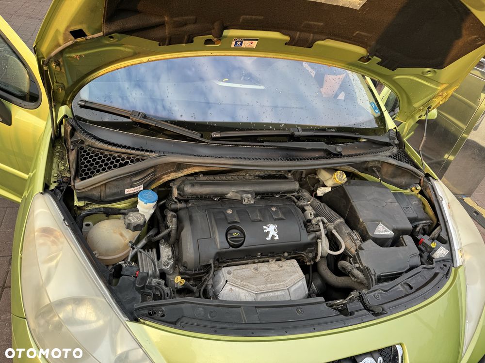 Peugeot 207 - 5