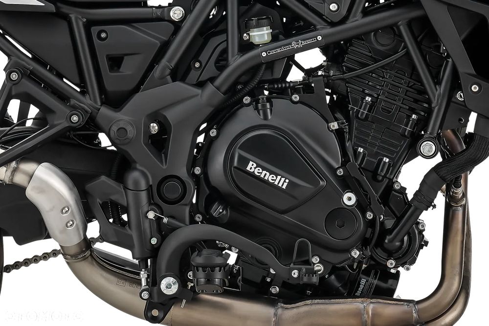 Benelli TRK 702 - 11