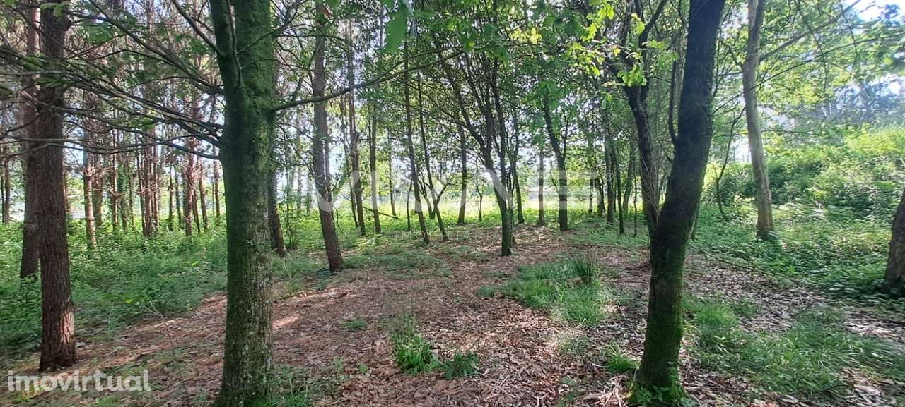 Terreno  Venda em Sande, Vilarinho, Barros e Gomide,Vila Verde - Grande imagem: 4/9