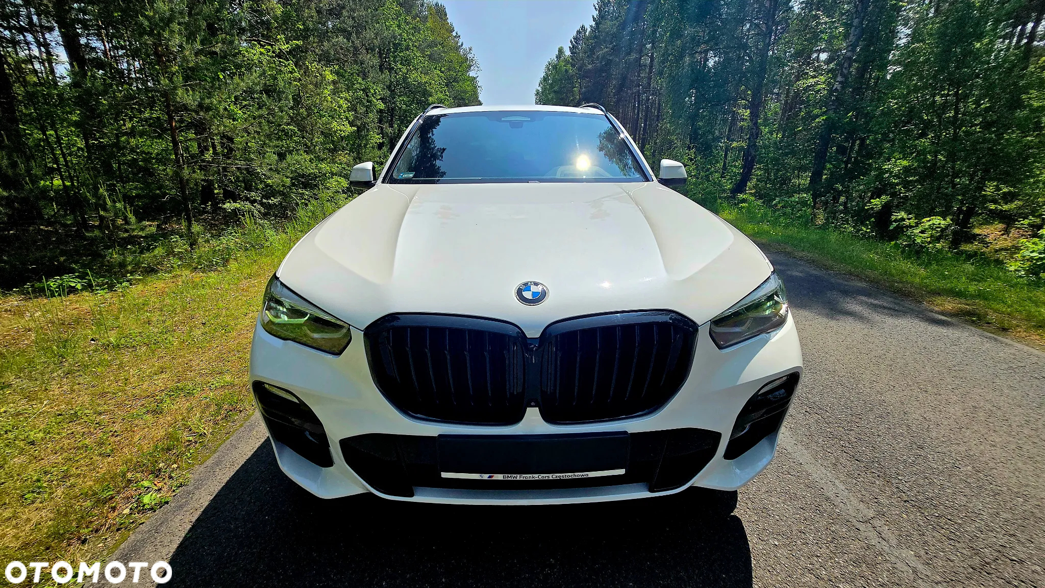 BMW X5 xDrive25d sport - 19
