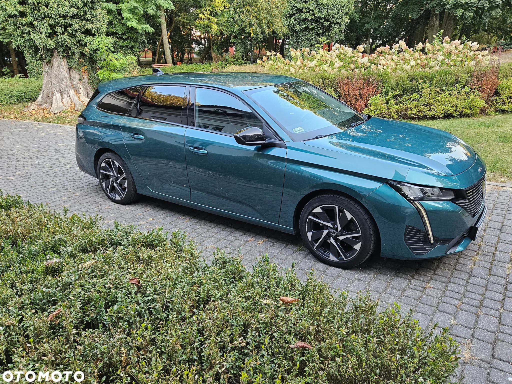 Peugeot 308 SW 1.5 BlueHDi Active Pack S&S - 7