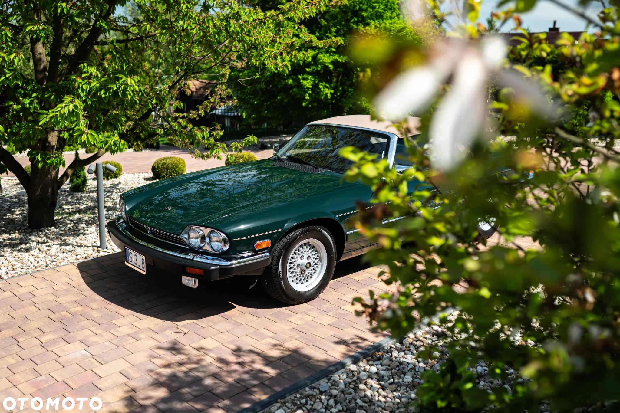 Jaguar XJS - 4