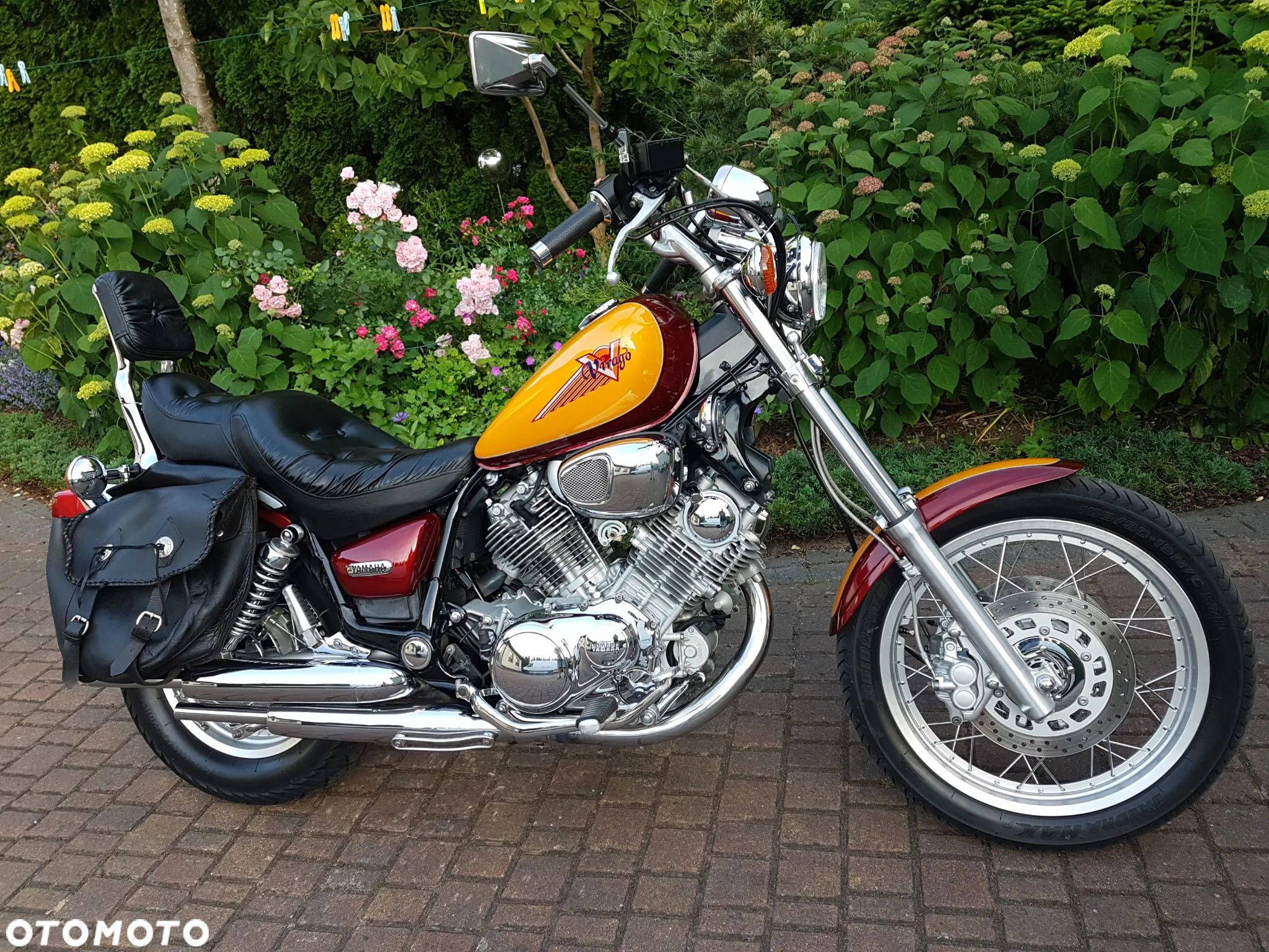 Yamaha Virago - 1
