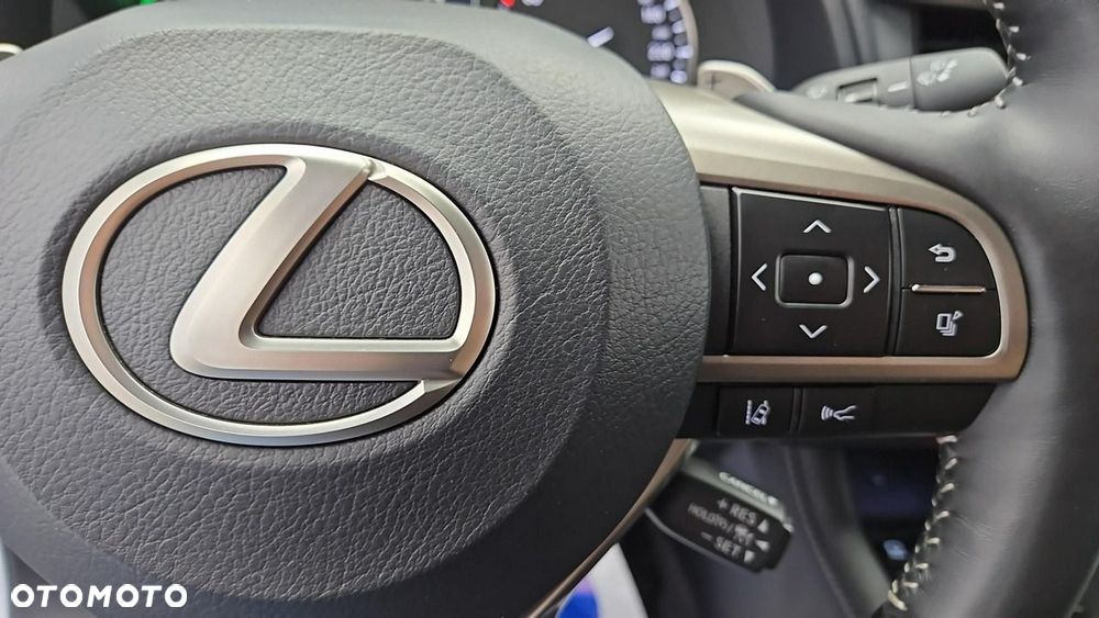 Lexus RX 450h F-Impression - 16