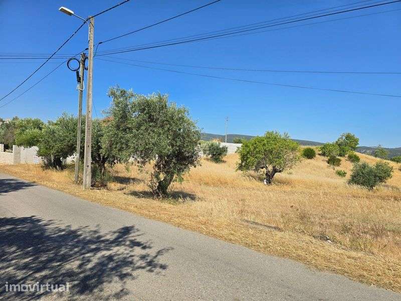 Vende-se Terreno 16 000 m2 - Mata - Torres Novas - Grande imagem: 4/7