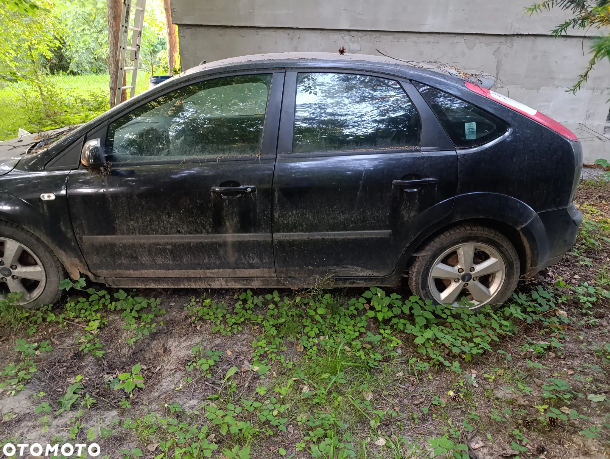 Ford Focus - 4