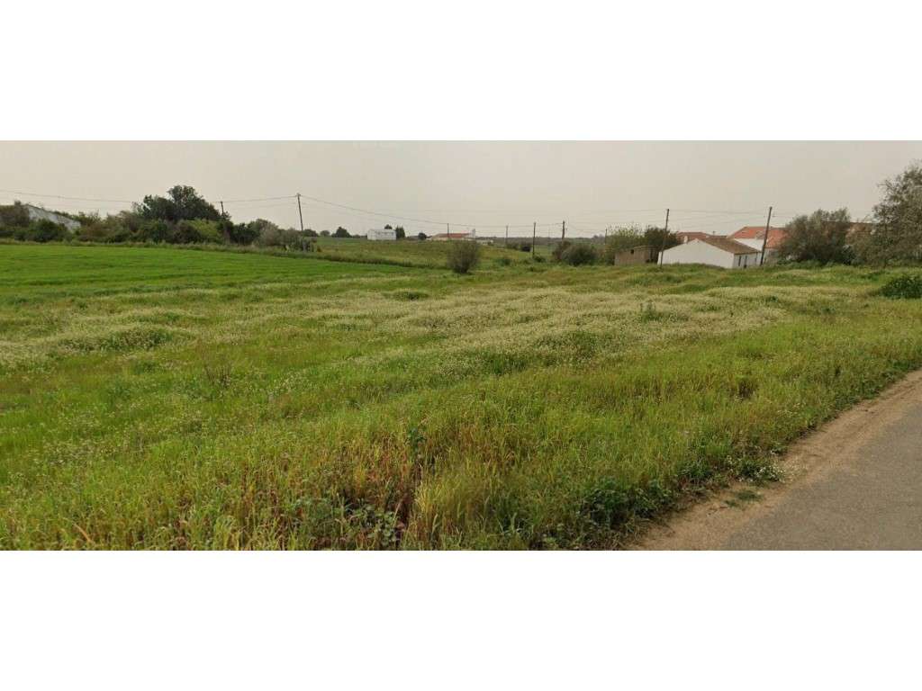 Quinta situada em Olhas - Ferreira do Alentejo - Grande imagem: 3/3