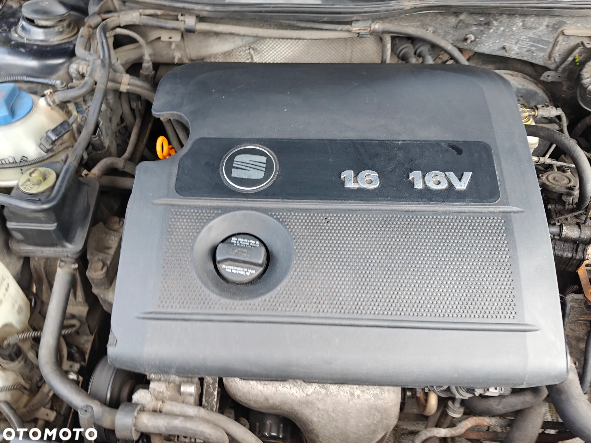 Seat Leon 1.6 Signo - 19