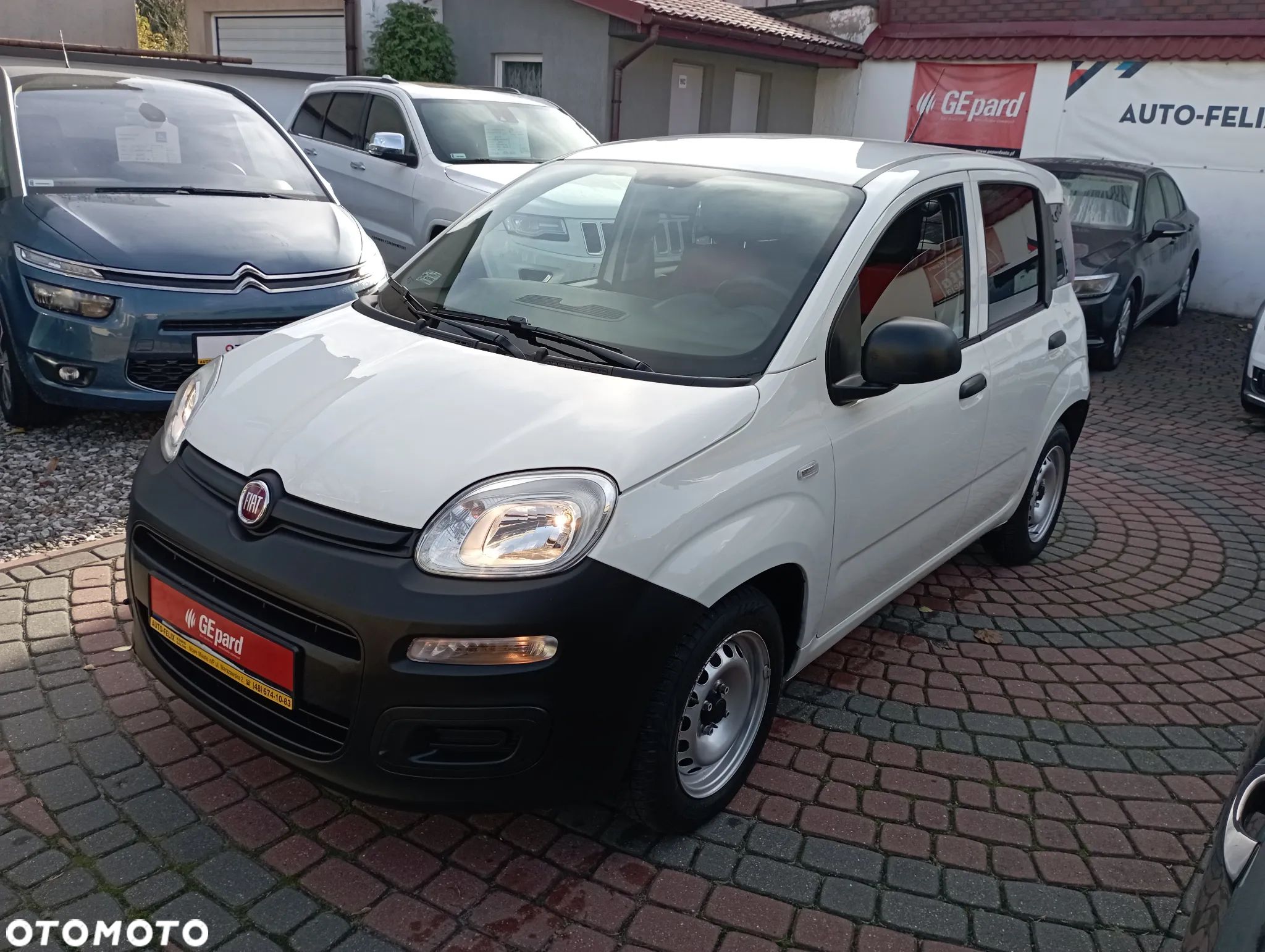 Fiat Panda - 1