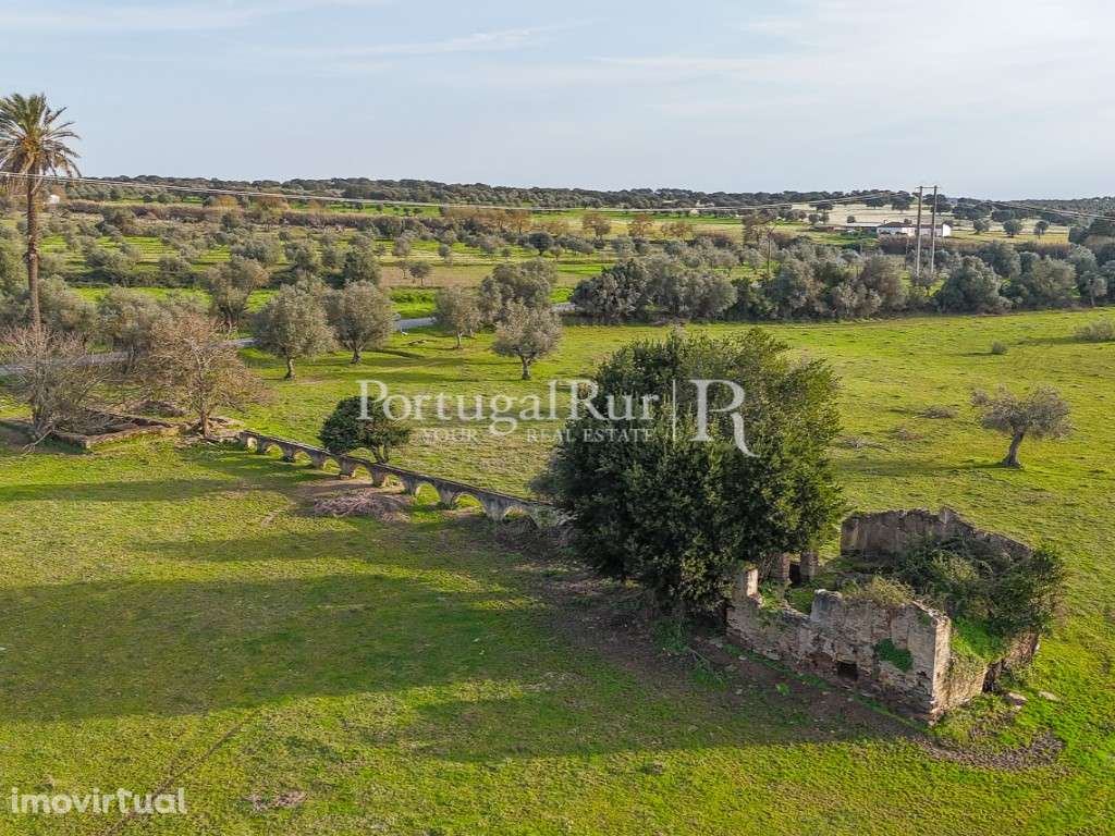 Quinta de 22 hectares em Avis, Portalegre - Grande imagem: 5/35