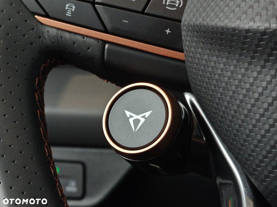 Cupra Terramar - 20