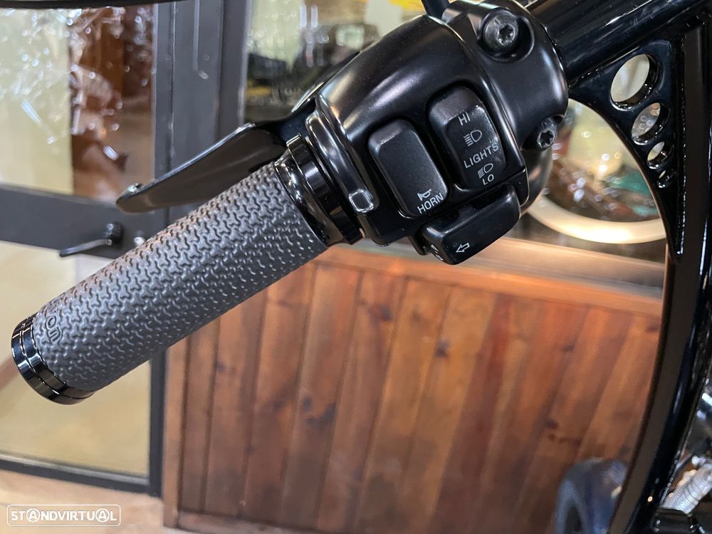 Harley-Davidson FLSTS Crossbones - 6