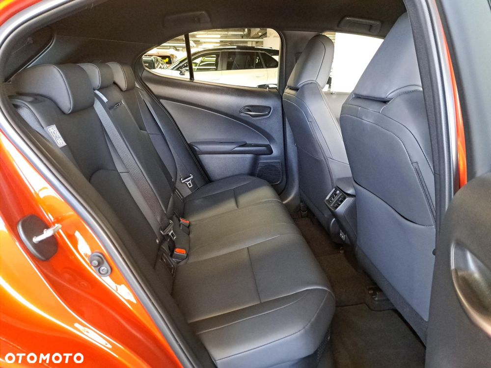 Lexus UX 250h GPF F Sport Design 2WD - 14