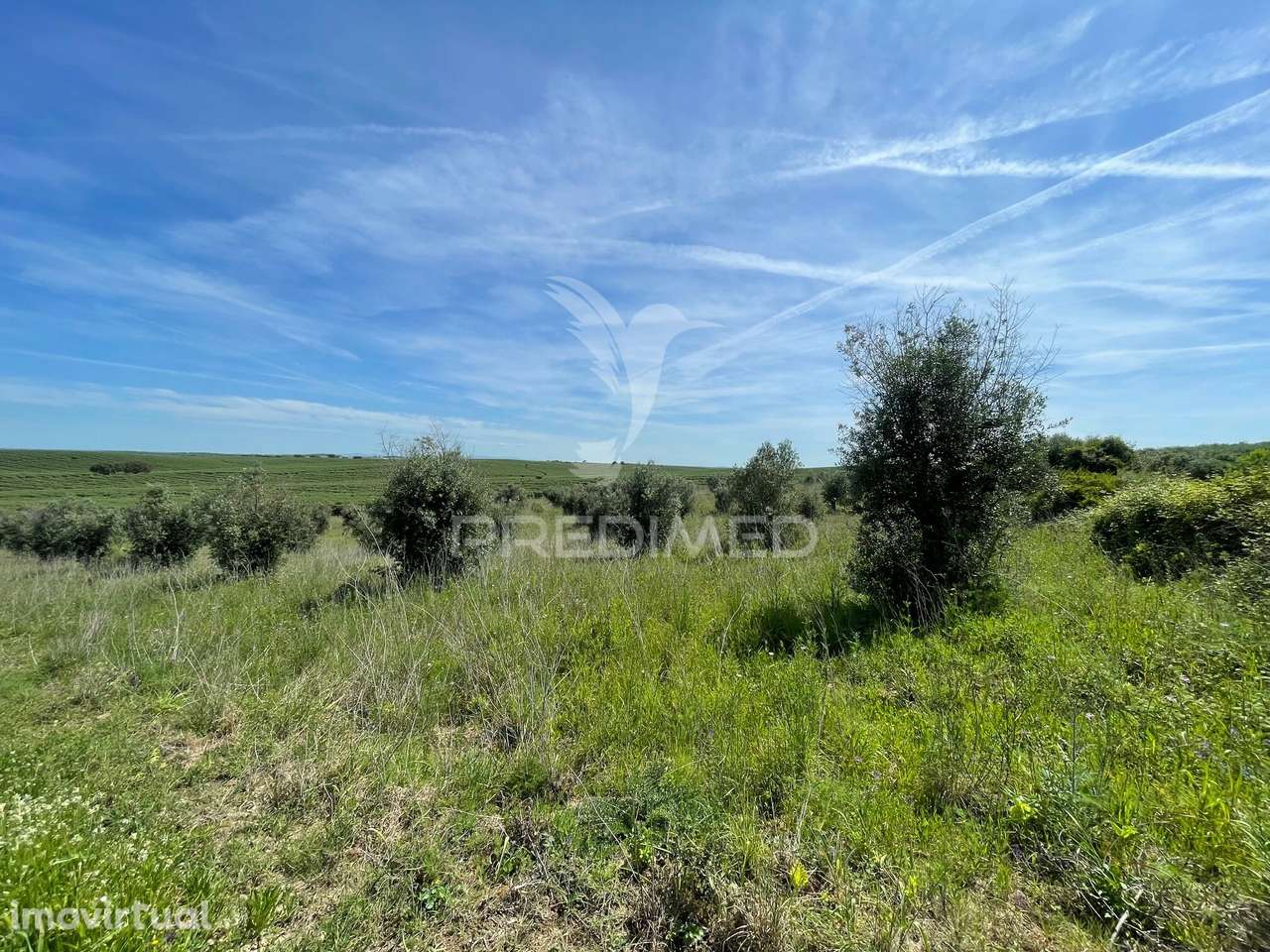 Terreno perto da Vila de Avis - Grande imagem: 2/14