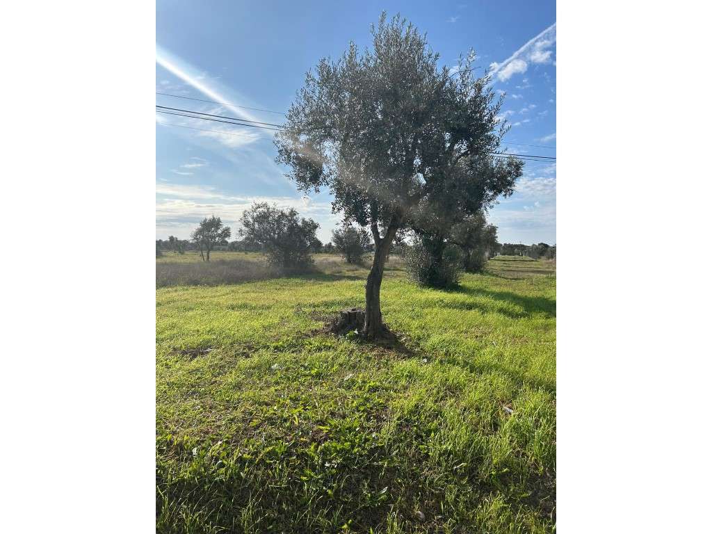 Lote de Terreno para construção - Grande imagem: 2/9