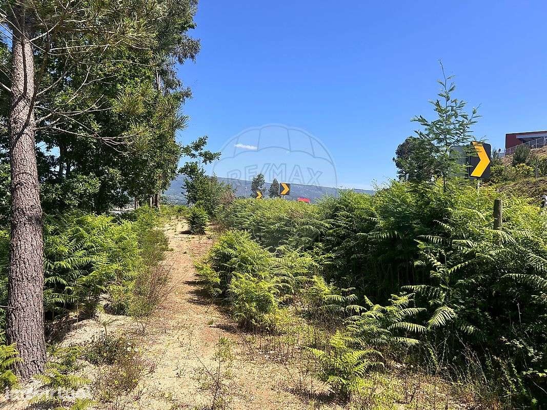 Terreno  para venda - Grande imagem: 5/8