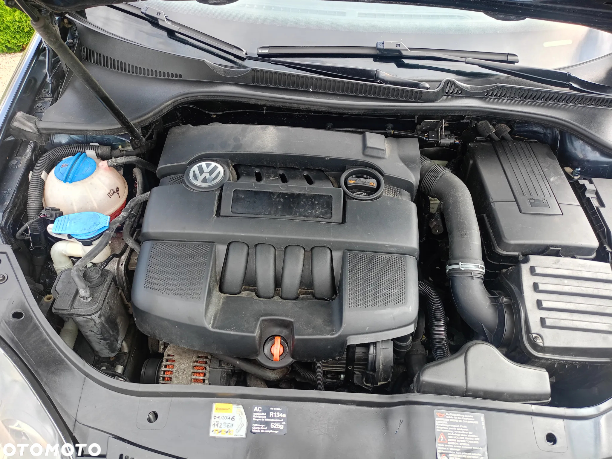 Volkswagen Golf - 23