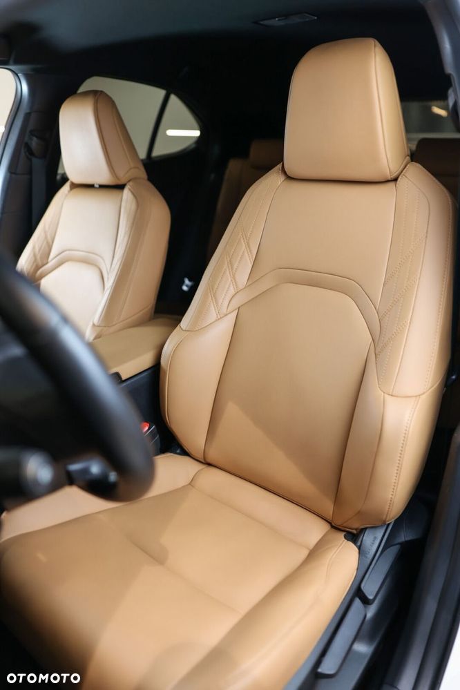 Lexus UX 250h GPF F Sport Design 2WD - 10