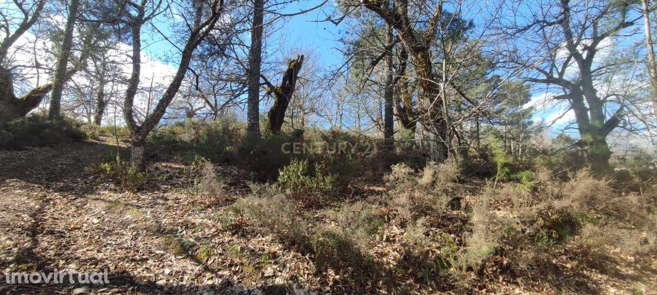Terreno com possibilidade para construção de um armazém - Grande imagem: 5/12