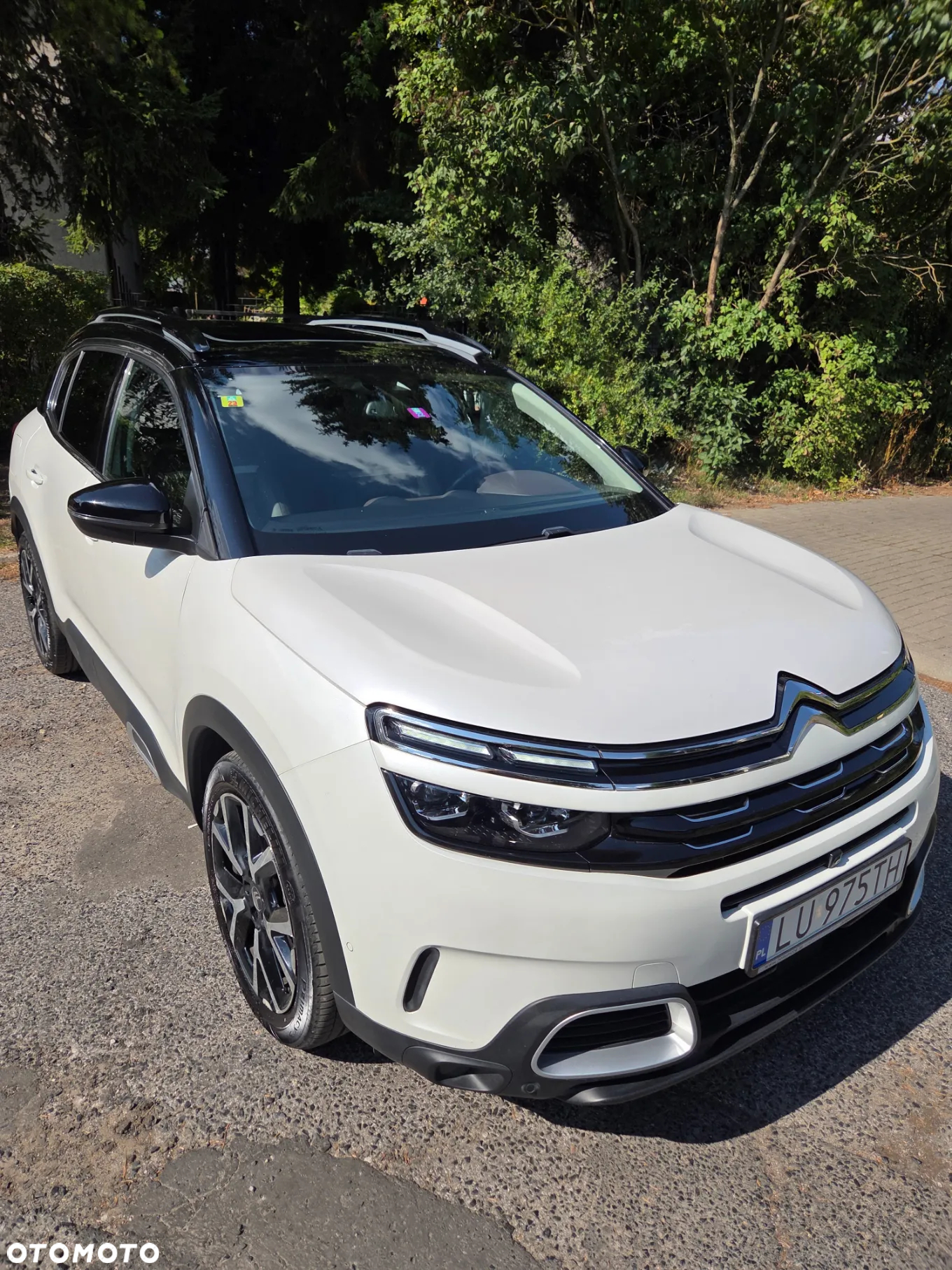 Citroën C5 Aircross BlueHDI 180 S&S EAT8 SHINE PACK - 2