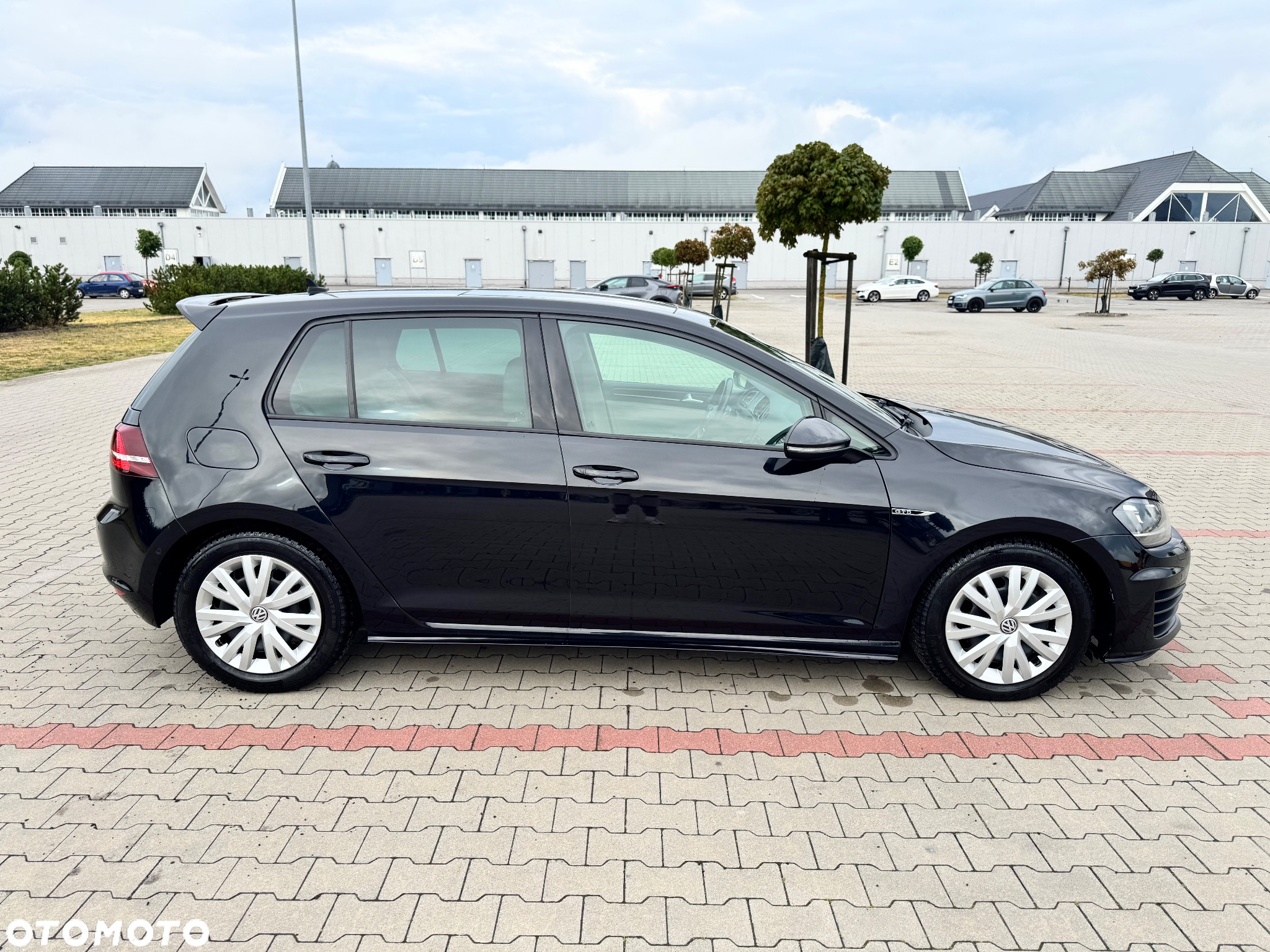 Volkswagen Golf - 8