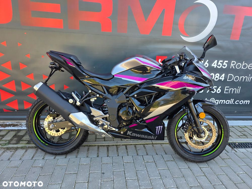 Kawasaki Ninja - 2