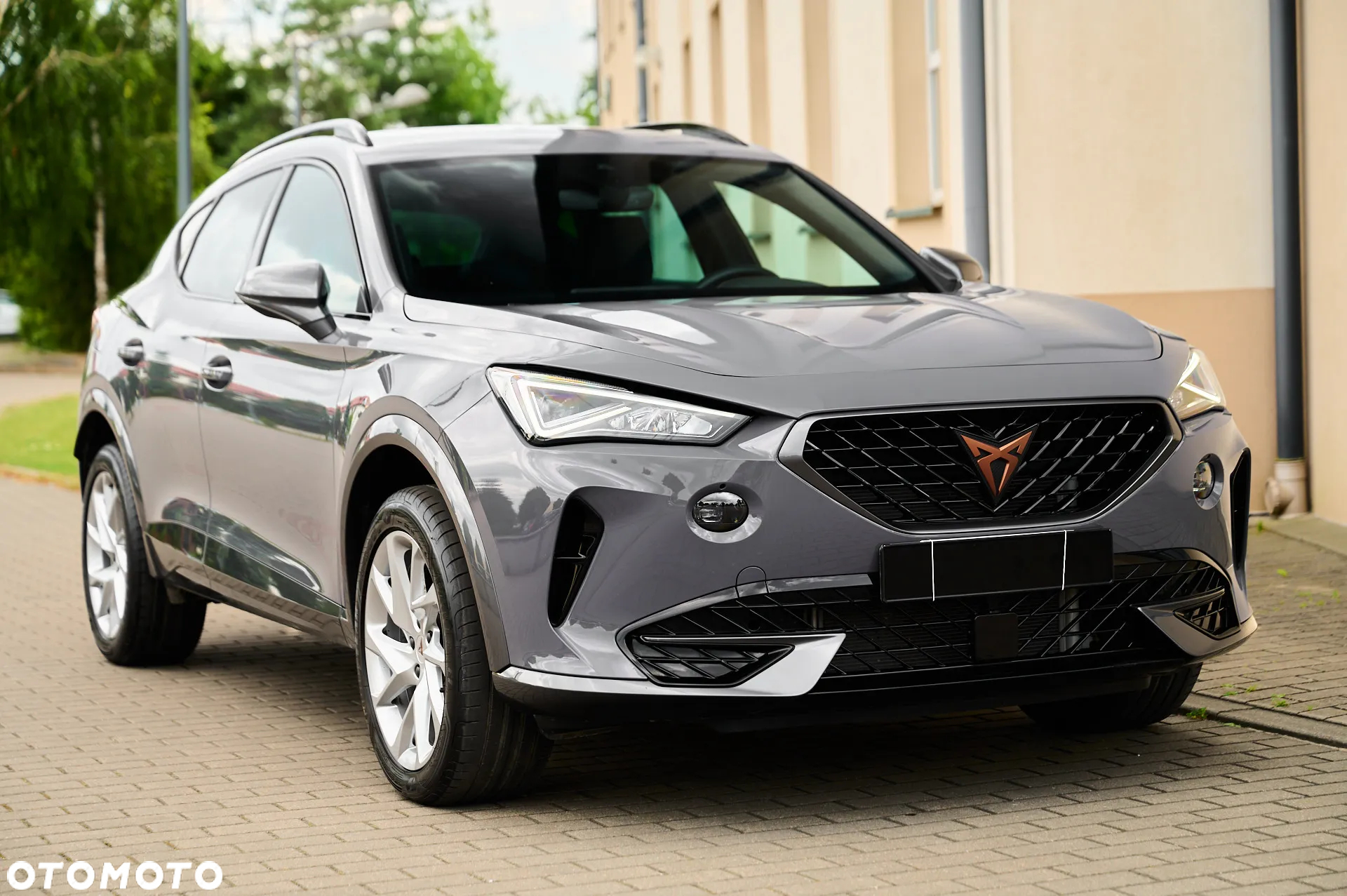 Cupra Formentor 2.0 TDI - 19
