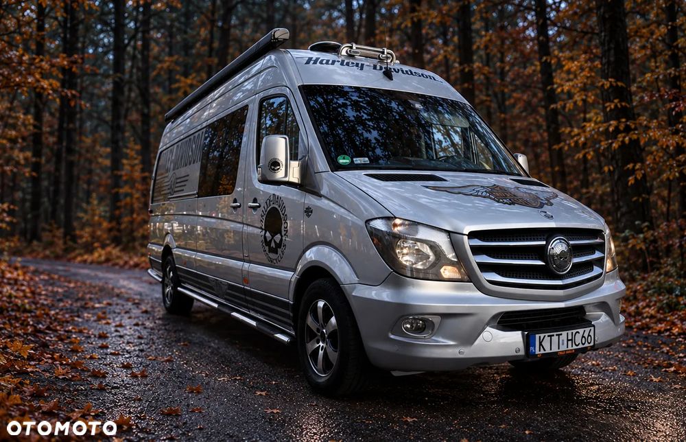 Mercedes-Benz Sprinter - 32