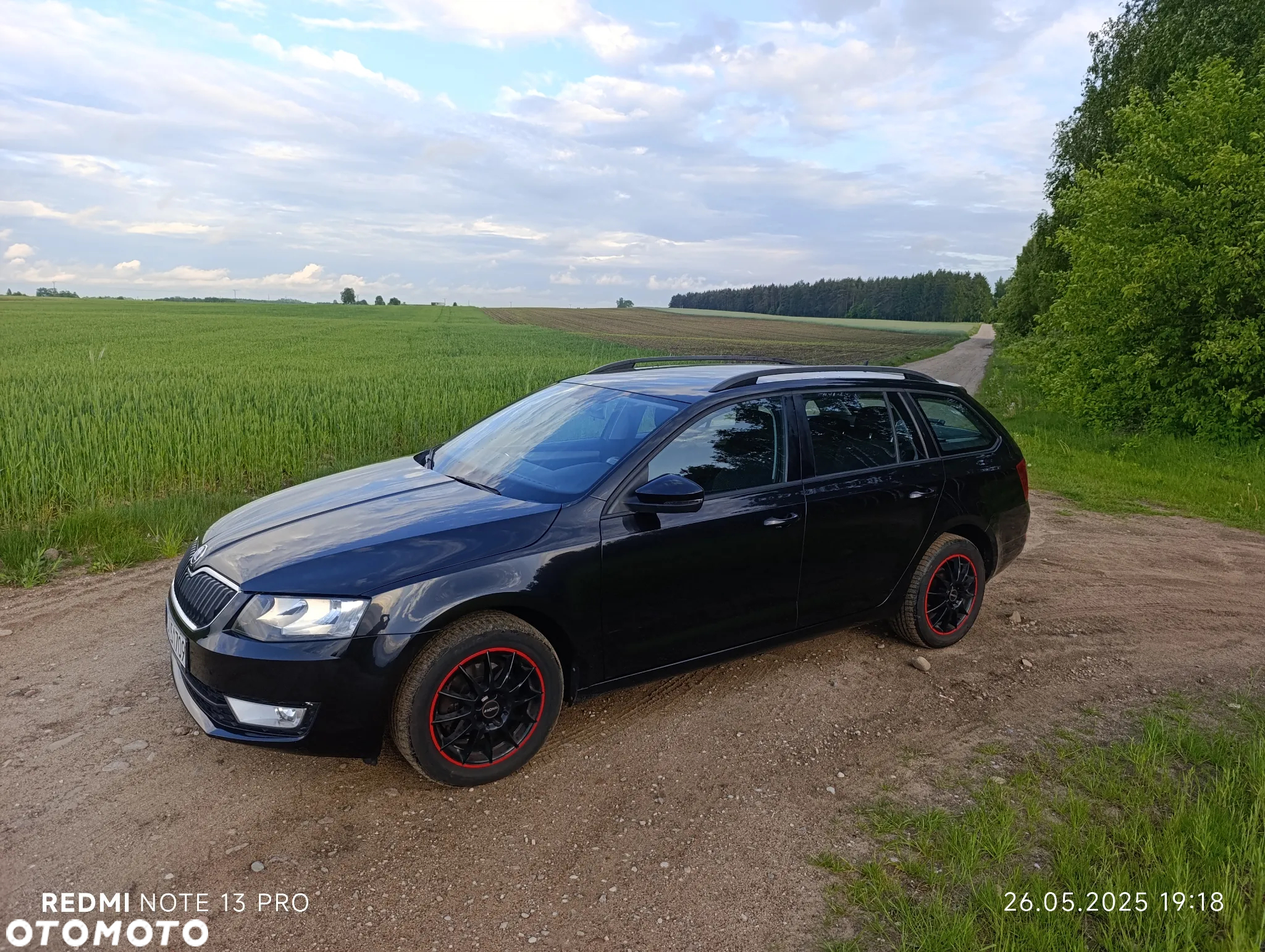 Skoda Octavia 1.6 TDI Ambiente - 10