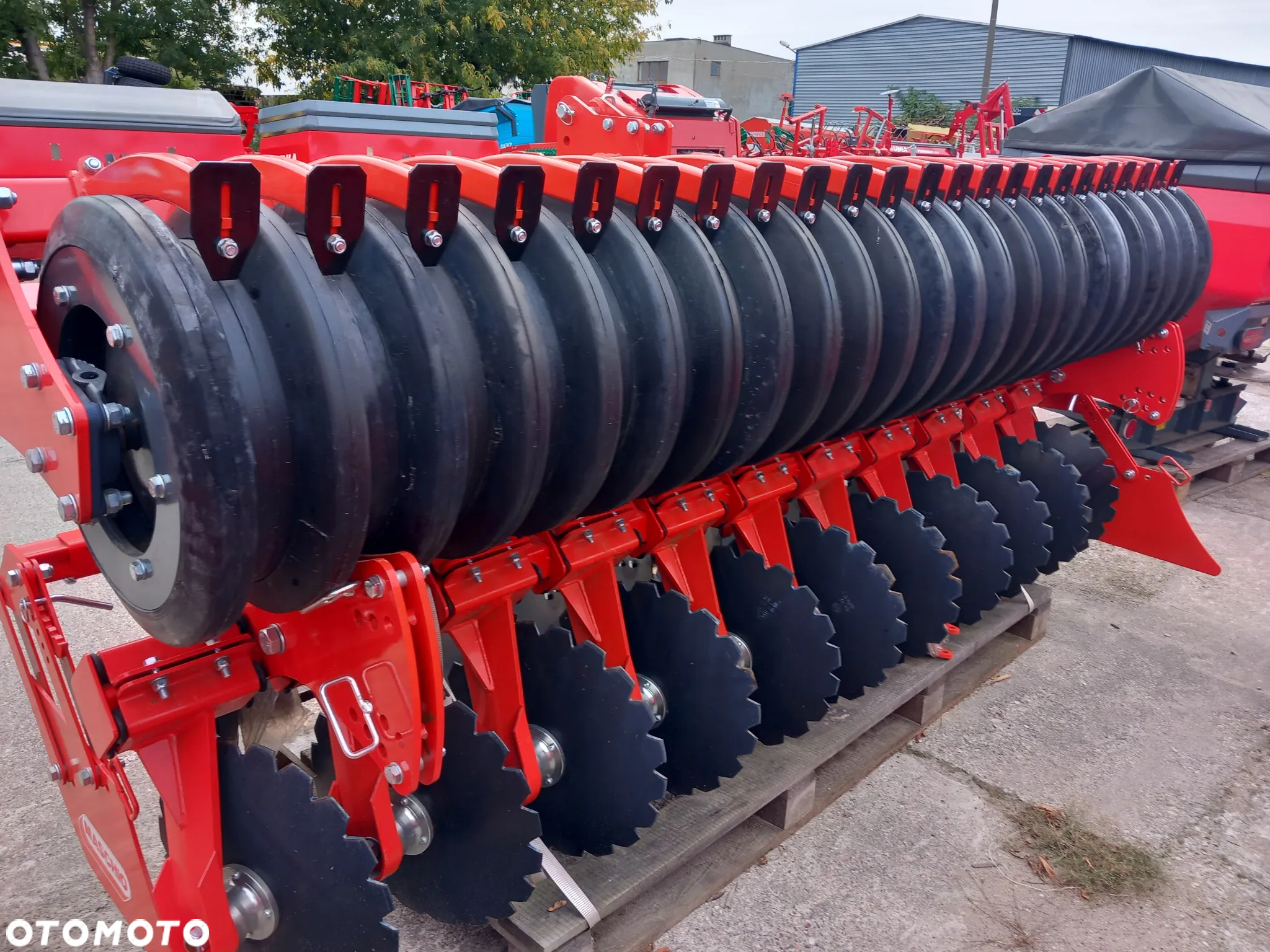 Maschio DAMA 3000 DOUBLE DISC IENA – 24R - 18