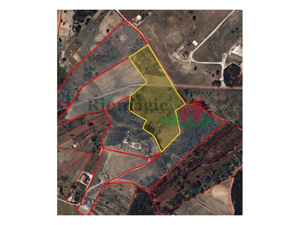 Terreno Rústico Alcoentre***RIOMAGIC*** - Grande imagem: 5/24