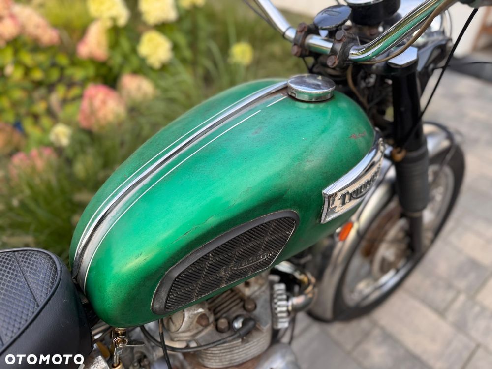 Triumph Trophy - 14