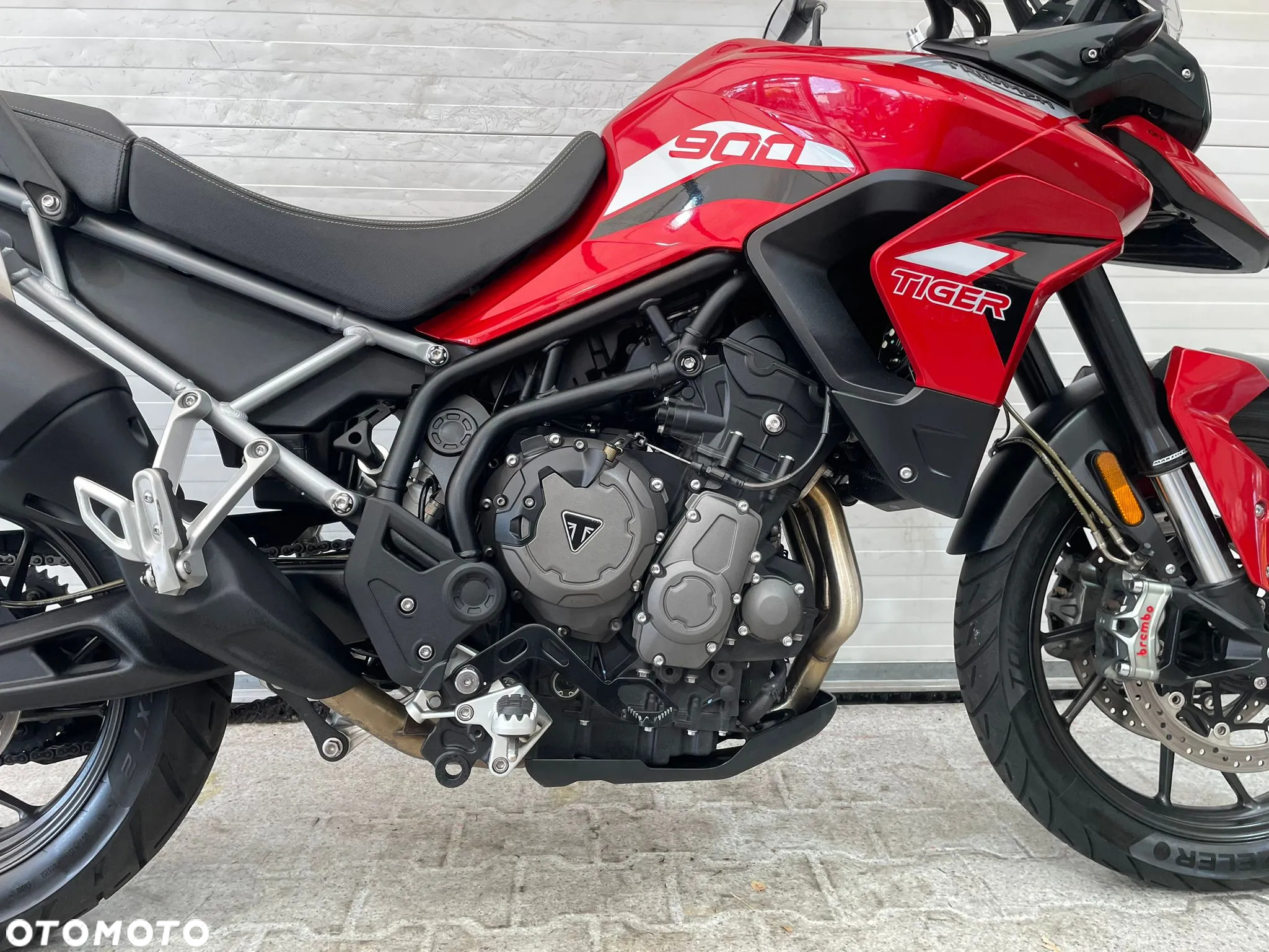 Triumph Tiger - 18