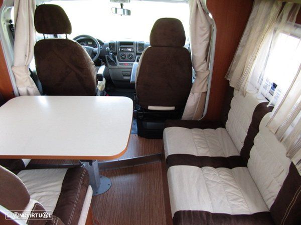 McLouis Yearling Série Limitada - 23